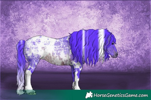 Horse Color:Watercolor White Spotted Brown Ice Rabicano