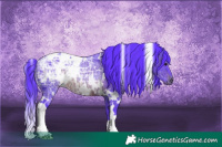 Horse Color:Watercolor White Spotted Brown Ice Rabicano