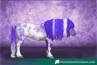 Horse Color:Watercolor White Spotted Brown Ice Rabicano 