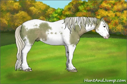 Horse Color:Watercolor Silver Black Mushroom Sabino Splash Tobiano 