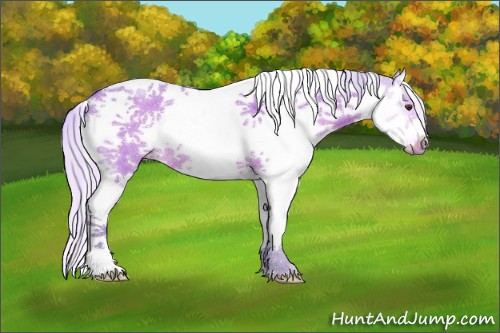 Horse Color:Watercolor White Spotted Silver Bay Dun Splash Tobiano Frame Rabicano 
