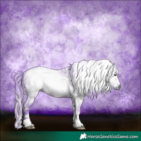 Horse Color:Gray Watercolor White Spotted Brown Frame Rabicano 