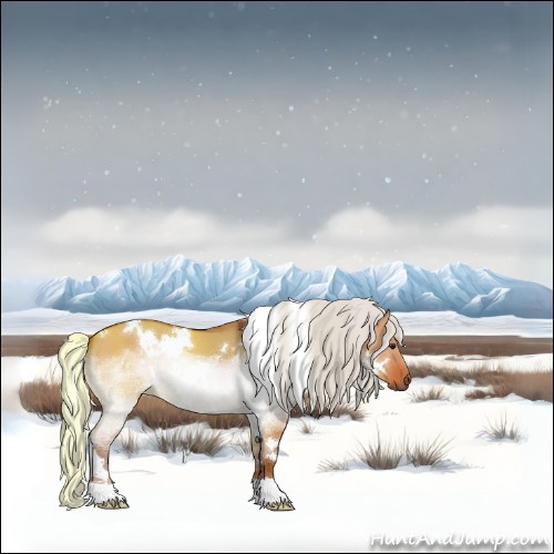 Horse Color:White Spotted Silver Bay Dun