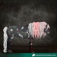 Horse Color:White Spotted Midnight Silver Brown Chinchilla Ice Dun 