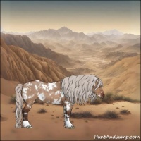 Horse Color:White Spotted Silver Brown Dun 