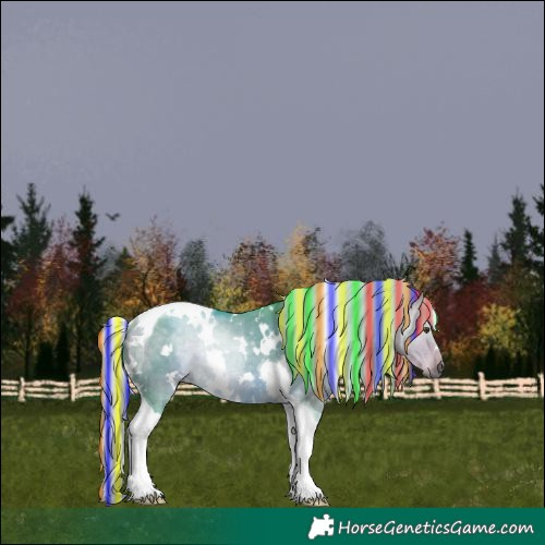 Horse Color:Painted Watercolor White Spotted Silver Buckskin Dun Tobiano Rabicano 