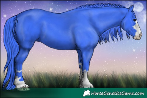 Horse Color:Watercolor Black