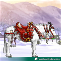 Horse Color:White Spotted Black Sabino