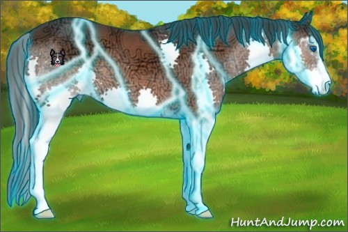 Horse Color:Thunderstruck Bay Ice Sabino Splash 