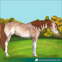 Horse Color:Red Onyx Ice Sabino