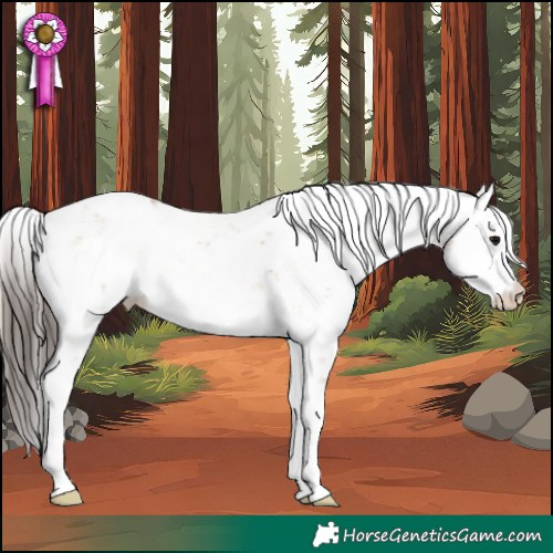 Horse Color:Bay Onyx Sabino 