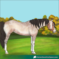 Horse Color:Bay Ice Roan Onyx 