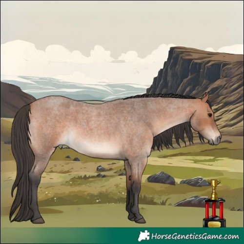 Horse Color:Bay Roan Mushroom 