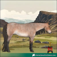 Horse Color:Bay Roan Mushroom 