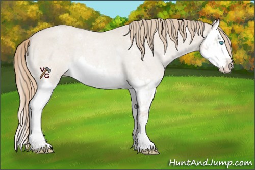 Horse Color:Smoky Creme Roan Dun Splash Appaloosa 
