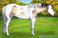 Horse Color:Brown Ice Onyx Sabino Splash Tobiano 