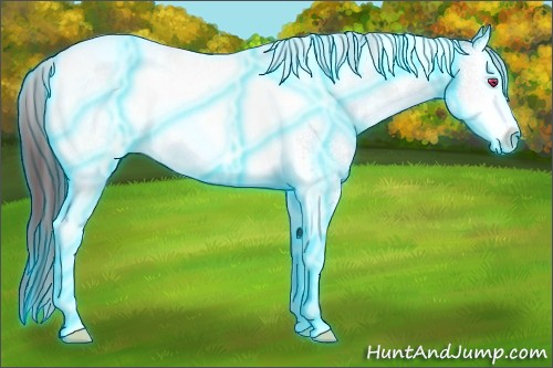Horse Color:Thunderstruck White Spotted Chocolate Buckskin Chinchilla Tobiano Rabicano 
