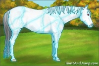 Horse Color:Thunderstruck White Spotted Chocolate Buckskin Chinchilla Tobiano Rabicano 