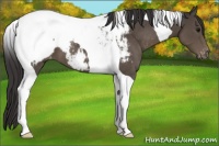 Horse Color:Smoky Black Tobiano Snowcap 