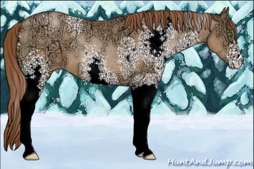 Horse Color:White Spotted Smoky Black Ice Pearl 