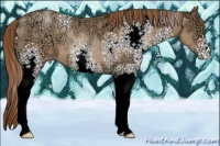 Horse Color:White Spotted Smoky Black Ice Pearl 