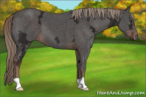 Horse Color:Liver Chestnut Ice 