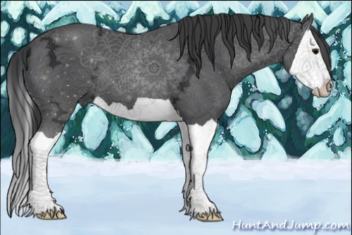Horse Color:Black Ice Splash 
