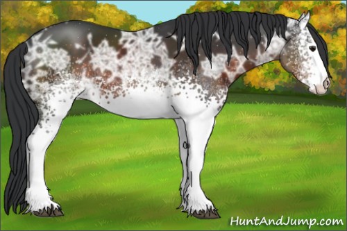 Horse Color:White Spotted Brown Ice
