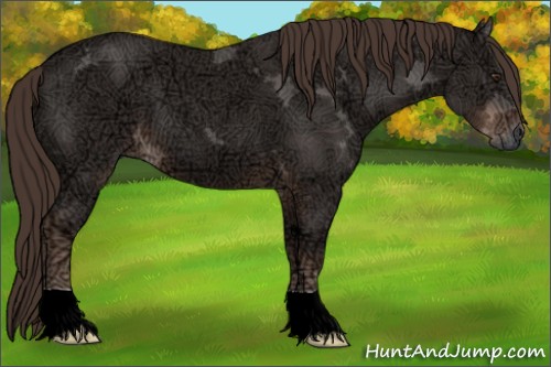 Horse Color:Liver Chestnut Ice 