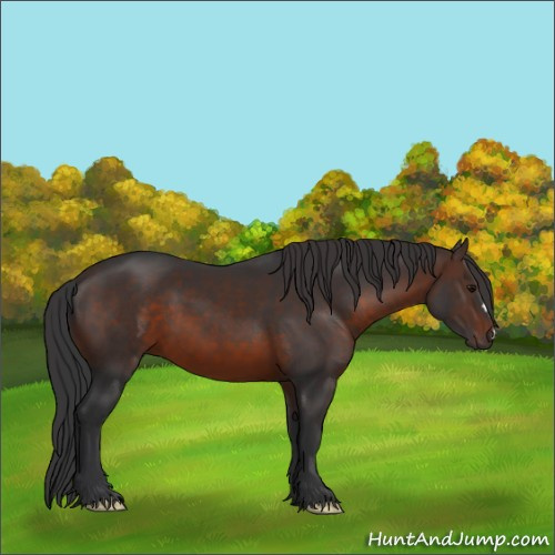 Horse Color:Brown 