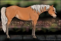 Horse Color:Silver Bay 