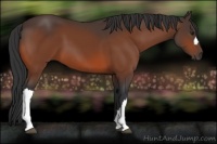 Horse Color:Brown 