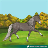 Horse Color:Silver Black 