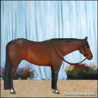 Horse Color:Bay Tobiano 