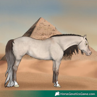 Horse Color:Amber Champagne Dun 