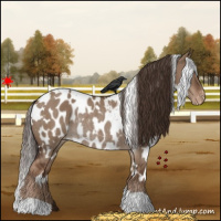 Horse Color:White Spotted Liver Red Dun Near Leopard Rabicano 