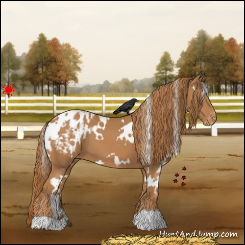 Horse Color:White Spotted Chestnut Blanket 