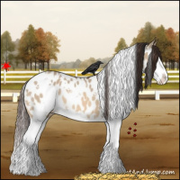 Horse Color:White Spotted Bay Dun Splash Appaloosa 