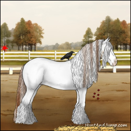 Horse Color:White Spotted Red Dun Appaloosa 