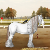 Horse Color:White Spotted Red Dun Appaloosa 
