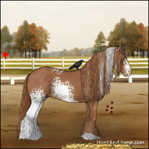 Horse Color:White Spotted Chestnut 