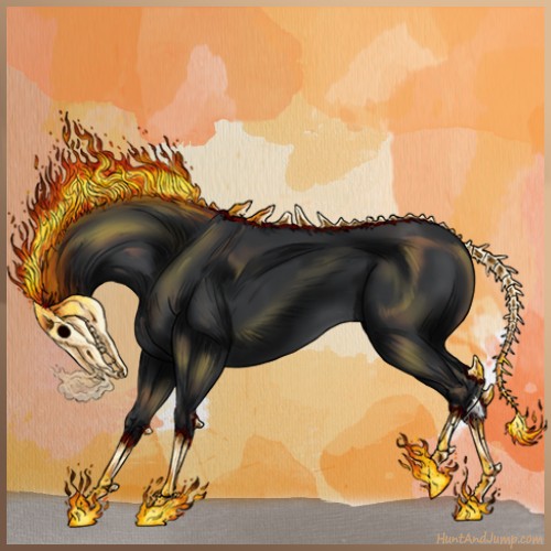 Horse Color:Black 