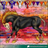 Horse Color:Black 