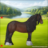 Horse Color:Brown Appaloosa