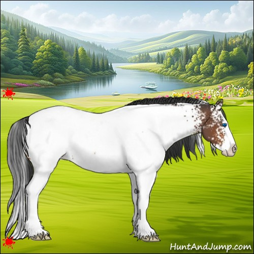 Horse Color:White Spotted Bay Splash Near Fewspot
