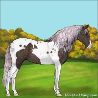 Horse Color:Painted Silver Brown Tobiano 
