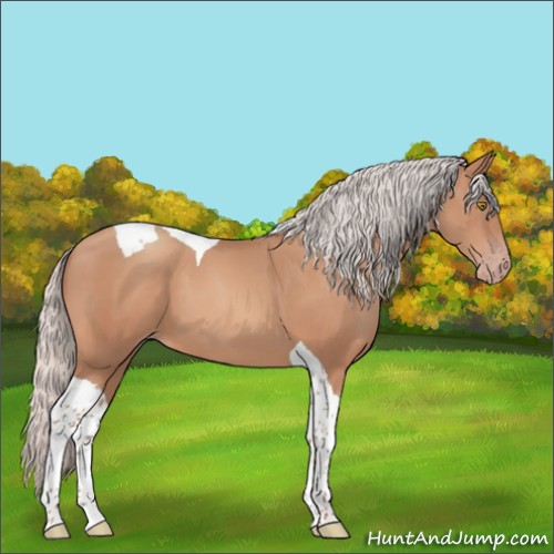 Horse Color:Silver Sable Champagne Tobiano 