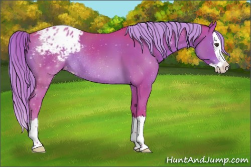 Horse Color:Watercolor Chestnut Splash Appaloosa Rabicano 