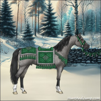 Horse Color:Grullo Roan 
