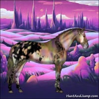 Horse Color:Void Nacre White Spotted Red Onyx Appaloosa 